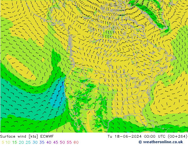 Surface wind ECMWF Tu 18.06.2024 00 UTC