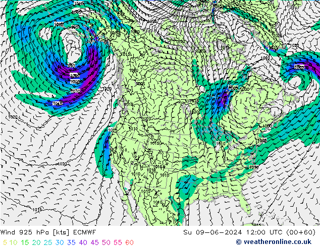 Wind 925 hPa ECMWF zo 09.06.2024 12 UTC