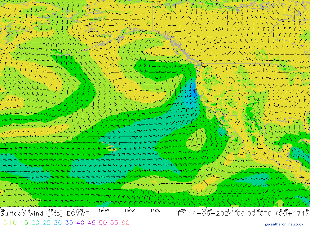 Surface wind ECMWF Fr 14.06.2024 06 UTC