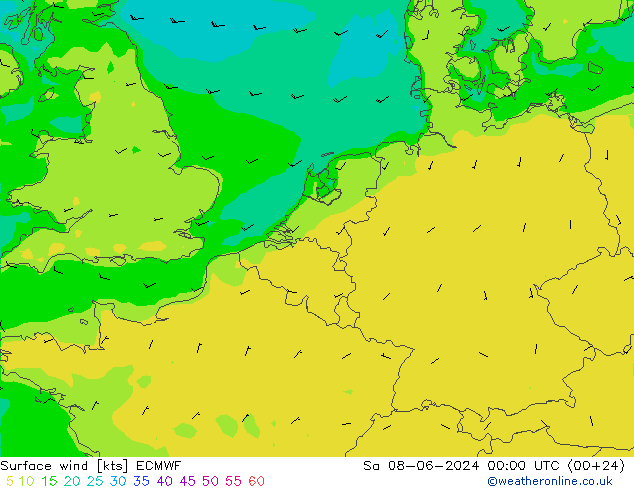 Surface wind ECMWF Sa 08.06.2024 00 UTC