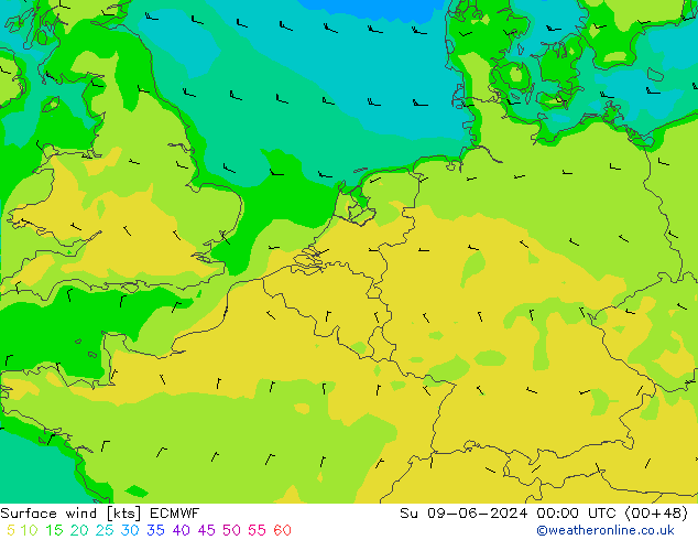  10 m ECMWF  09.06.2024 00 UTC