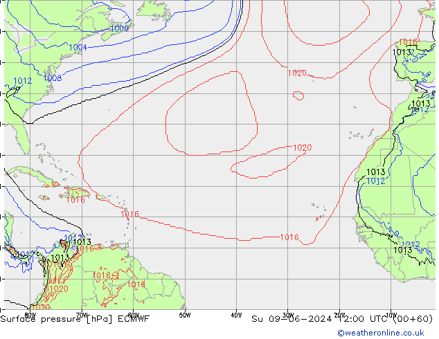 Surface pressure ECMWF Su 09.06.2024 12 UTC