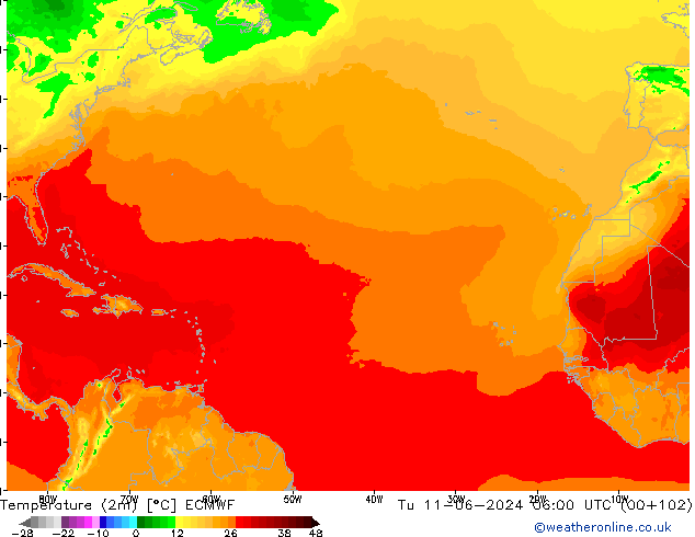 Temperatura (2m) ECMWF mar 11.06.2024 06 UTC