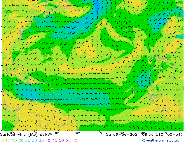 Surface wind ECMWF Su 09.06.2024 06 UTC