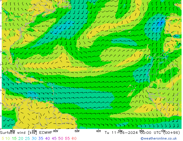 Wind 10 m ECMWF di 11.06.2024 00 UTC