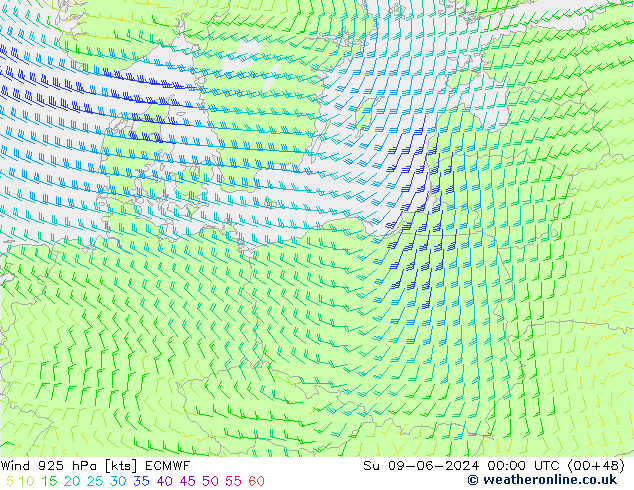 Vento 925 hPa ECMWF Dom 09.06.2024 00 UTC