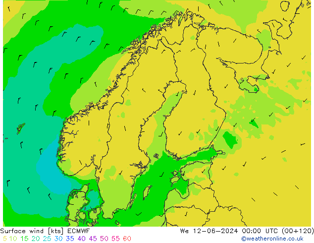  10 m ECMWF  12.06.2024 00 UTC