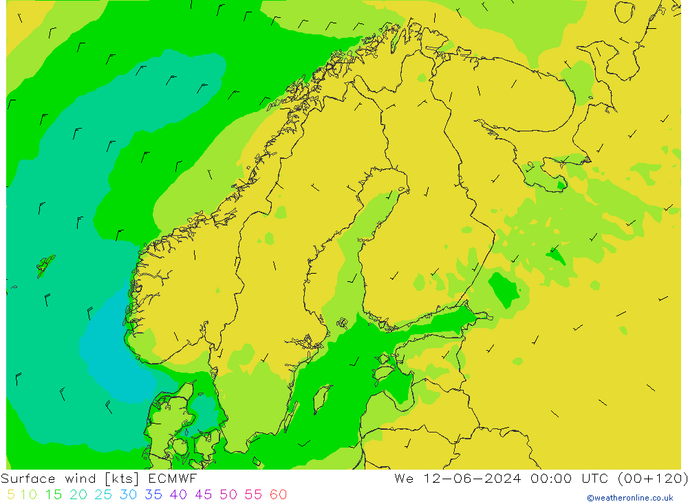 Surface wind ECMWF We 12.06.2024 00 UTC