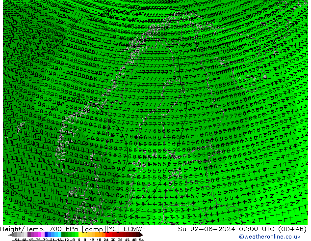 Yükseklik/Sıc. 700 hPa ECMWF Paz 09.06.2024 00 UTC