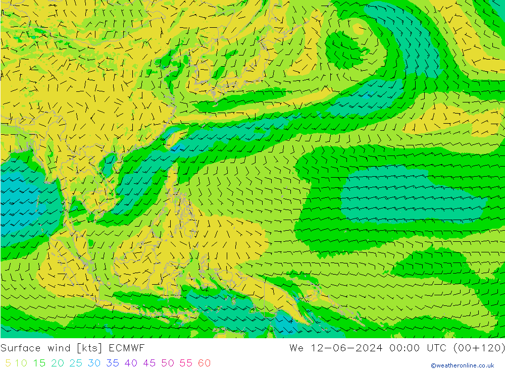 Wind 10 m ECMWF wo 12.06.2024 00 UTC