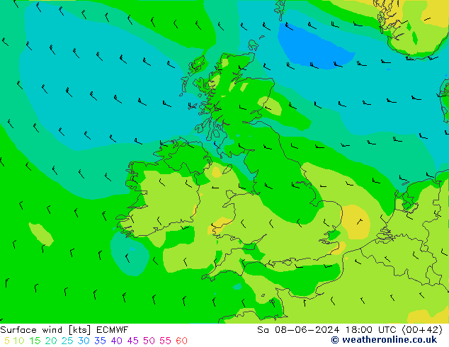 Wind 10 m ECMWF za 08.06.2024 18 UTC