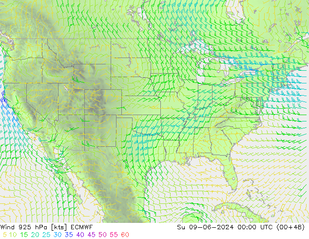  925 hPa ECMWF  09.06.2024 00 UTC