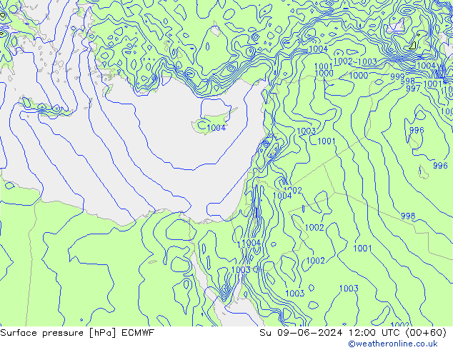 Pressione al suolo ECMWF dom 09.06.2024 12 UTC