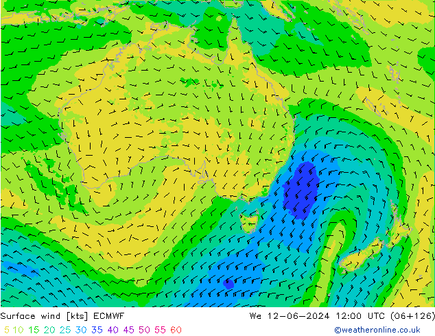 Surface wind ECMWF We 12.06.2024 12 UTC