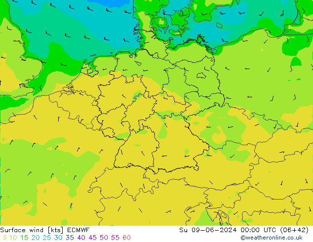 Surface wind ECMWF Su 09.06.2024 00 UTC