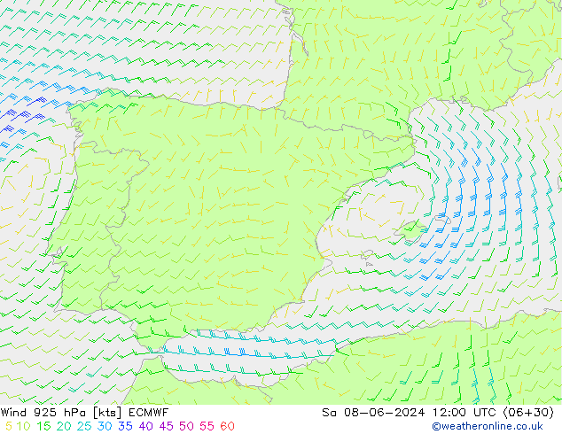 ветер 925 гПа ECMWF сб 08.06.2024 12 UTC