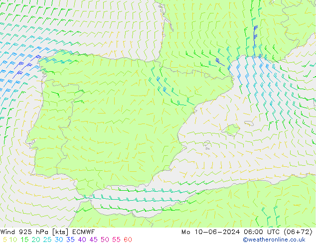 ветер 925 гПа ECMWF пн 10.06.2024 06 UTC