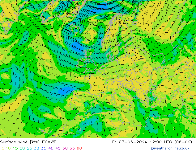 Surface wind ECMWF Fr 07.06.2024 12 UTC