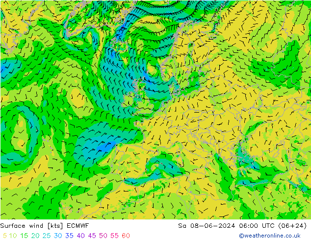 Surface wind ECMWF Sa 08.06.2024 06 UTC