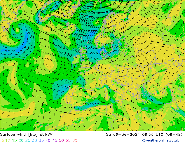 Wind 10 m ECMWF zo 09.06.2024 06 UTC