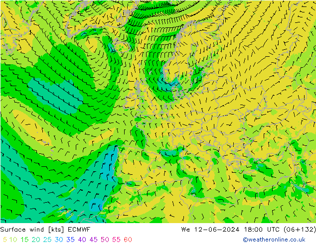 Surface wind ECMWF We 12.06.2024 18 UTC