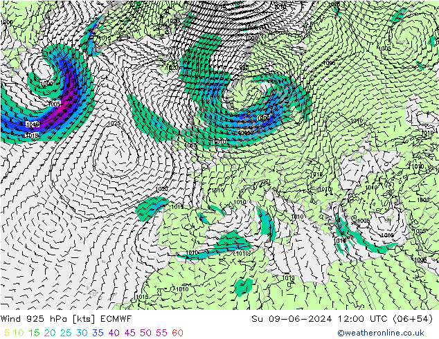 Wind 925 hPa ECMWF Su 09.06.2024 12 UTC