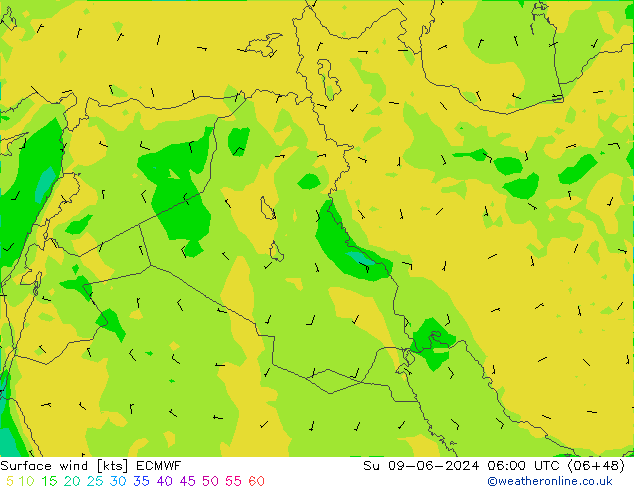  Su 09.06.2024 06 UTC