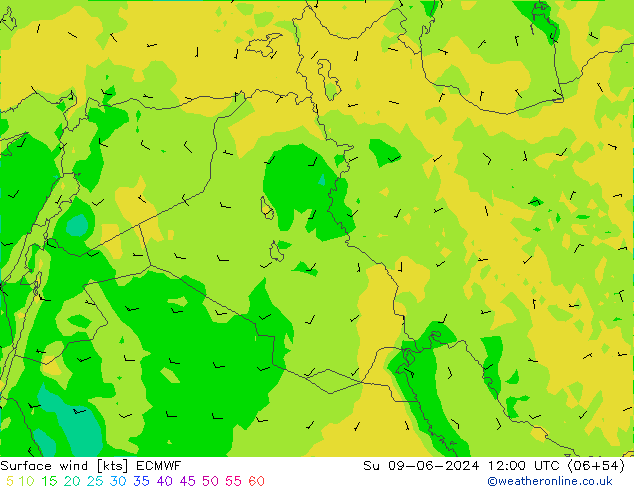  Su 09.06.2024 12 UTC