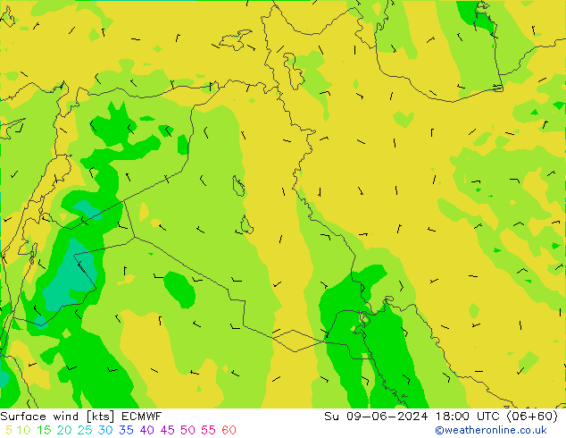  Su 09.06.2024 18 UTC