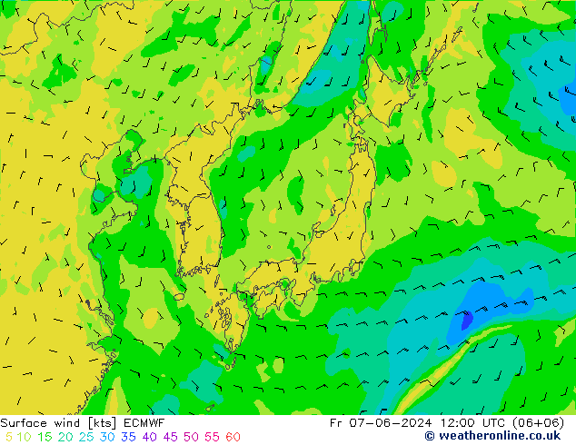  10 m ECMWF  07.06.2024 12 UTC