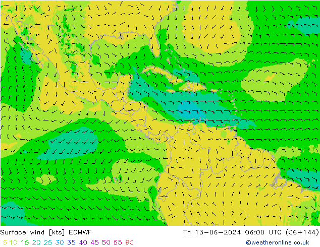 ветер 10 m ECMWF чт 13.06.2024 06 UTC