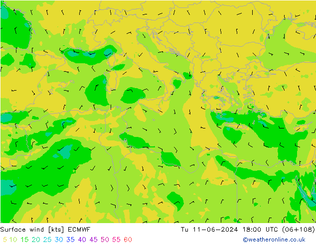 Surface wind ECMWF Tu 11.06.2024 18 UTC