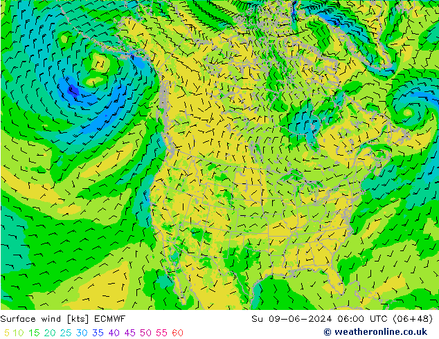 Bodenwind ECMWF So 09.06.2024 06 UTC