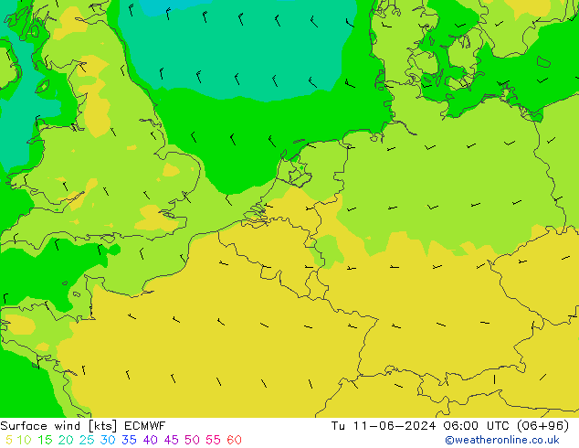 Vent 10 m ECMWF mar 11.06.2024 06 UTC