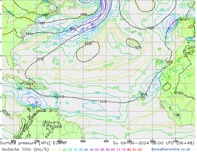 Isotachen (km/h) ECMWF zo 09.06.2024 06 UTC