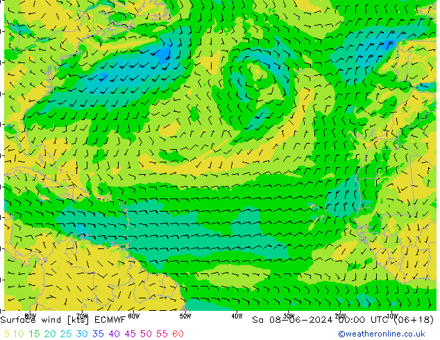 Vento 10 m ECMWF sab 08.06.2024 00 UTC