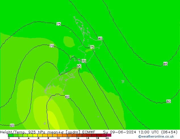 Hoogte/Temp. 925 hPa ECMWF zo 09.06.2024 12 UTC