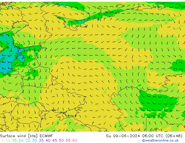 Surface wind ECMWF Su 09.06.2024 06 UTC