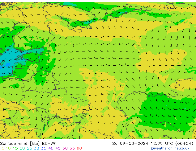 Surface wind ECMWF Su 09.06.2024 12 UTC