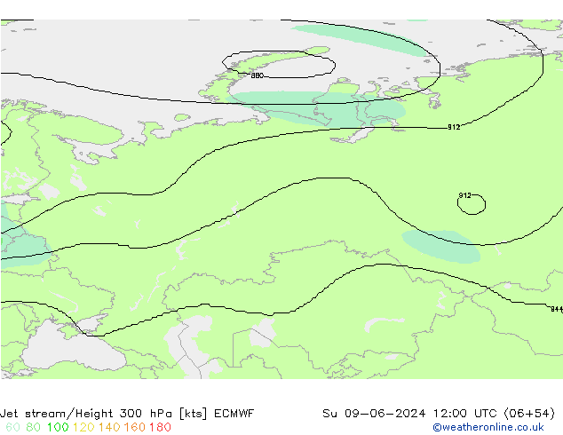 джет ECMWF Вс 09.06.2024 12 UTC