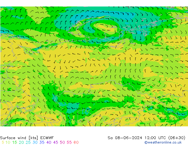 ветер 10 m ECMWF сб 08.06.2024 12 UTC