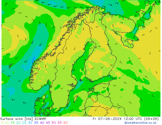 ветер 10 m ECMWF пт 07.06.2024 12 UTC