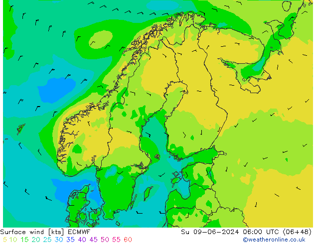 Bodenwind ECMWF So 09.06.2024 06 UTC