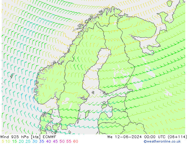  925 hPa ECMWF  12.06.2024 00 UTC