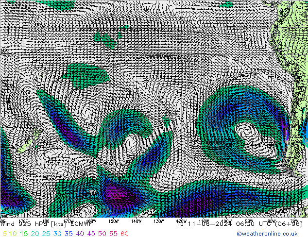 Wind 925 hPa ECMWF Di 11.06.2024 06 UTC