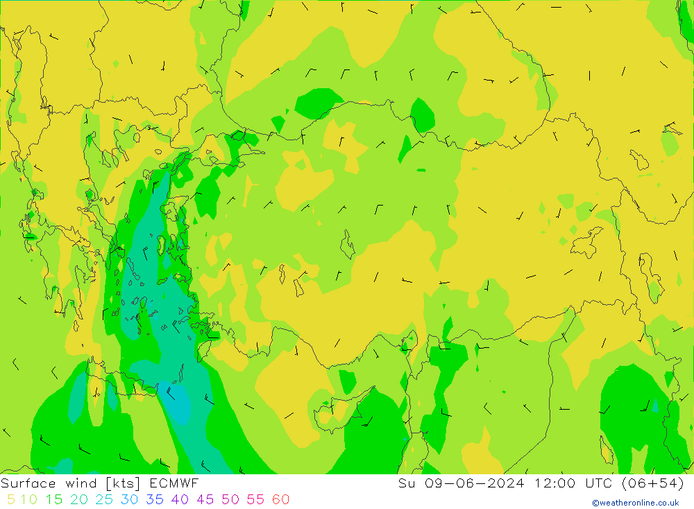 Rüzgar 10 m ECMWF Paz 09.06.2024 12 UTC