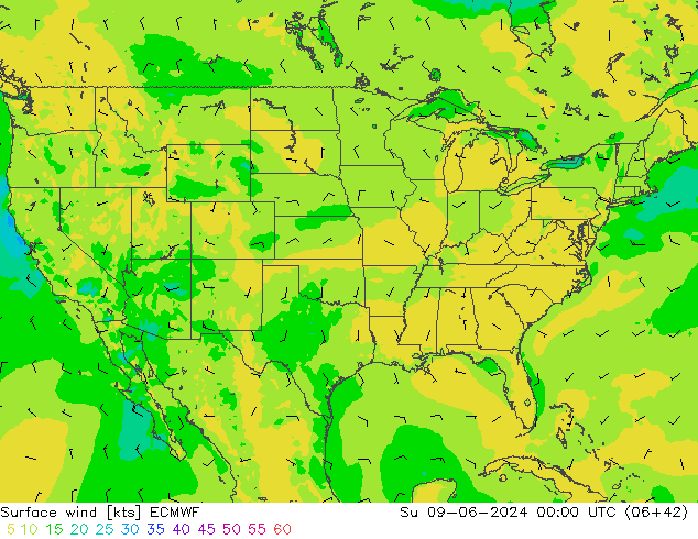 Surface wind ECMWF Su 09.06.2024 00 UTC