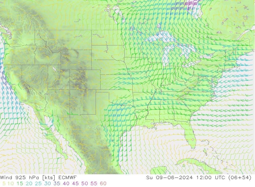 Vento 925 hPa ECMWF dom 09.06.2024 12 UTC