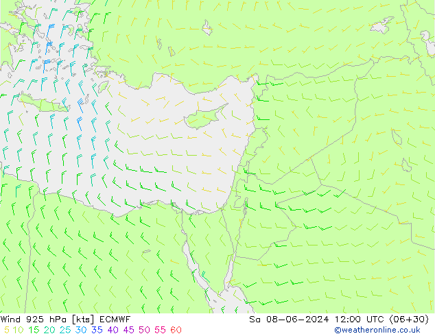 Wind 925 hPa ECMWF Sa 08.06.2024 12 UTC