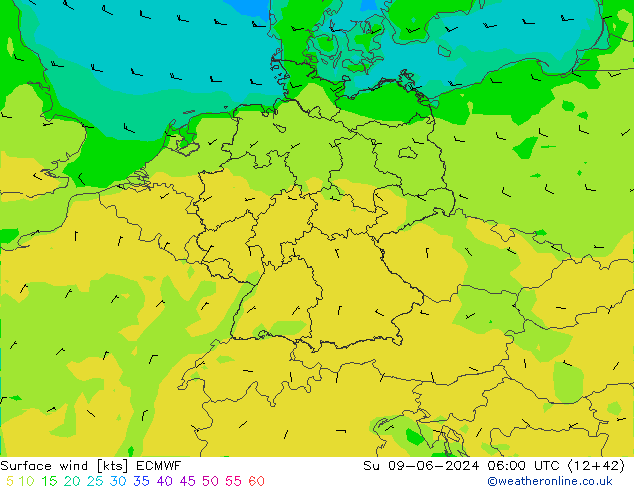 wiatr 10 m ECMWF nie. 09.06.2024 06 UTC